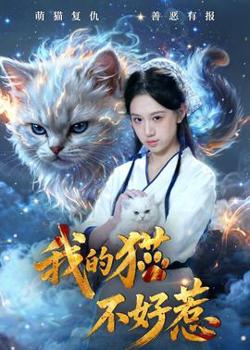 我的猫不好惹高清播放