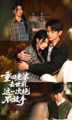 重回老婆去世前，这一次绝不放手在线观看