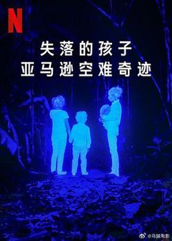 失落的孩子：亚马逊空难奇迹高清播放