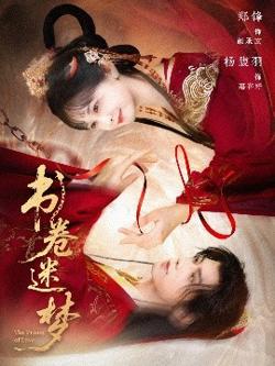 书卷迷梦在线观看
