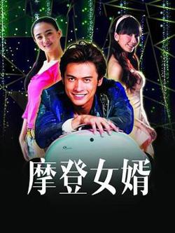摩登女婿高清播放