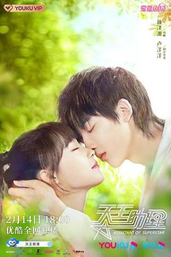 天王助理高清播放