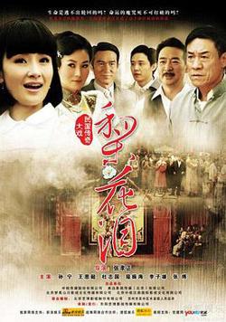 梨花泪在线观看