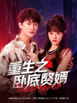 重生之卧底赘婿高清播放