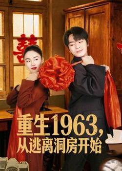 重生1963，从逃离洞房开始高清播放