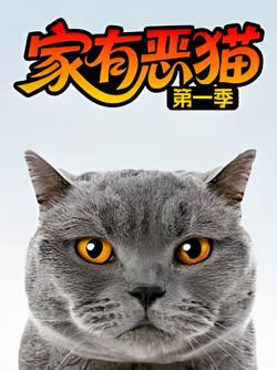 家有恶猫 第一季在线观看