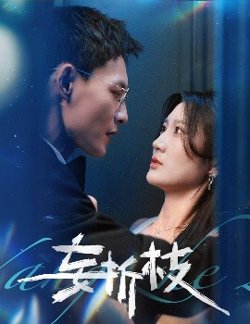妄折枝高清播放