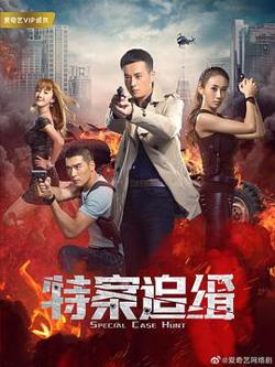 特案追缉高清播放