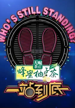 一站到底 2017高清播放