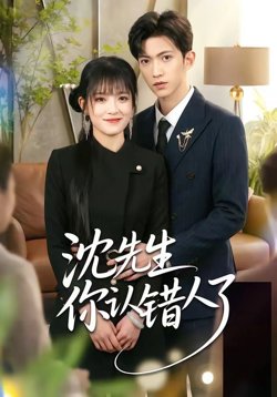 沈先生你认错人了高清播放