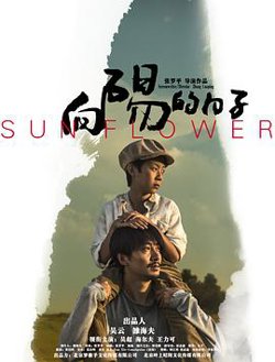 向阳的日子在线观看