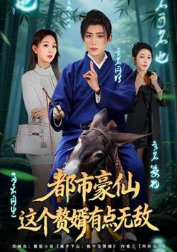 都市豪仙，这个赘婿有点无敌在线观看