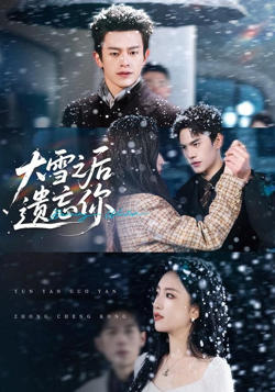 大雪之后遗忘你高清播放