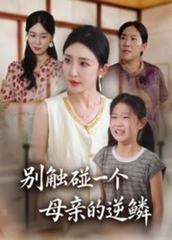 别触碰一个母亲的逆鳞高清播放