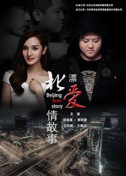 北漂爱情故事2016在线观看