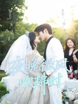 夜晚微风吹拂时高清播放