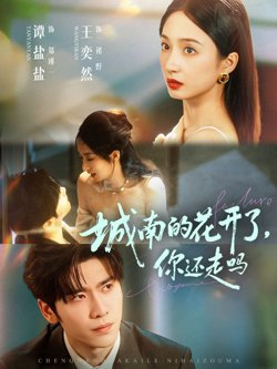 城南的花开了,你还走吗