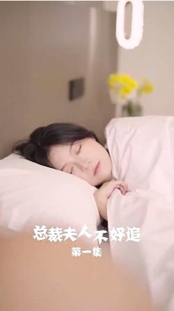 总裁夫人不好追在线观看