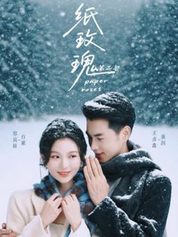 纸玫瑰第二部在线观看