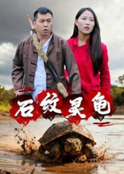 石纹灵龟高清播放