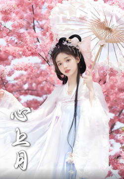 心上月在线观看