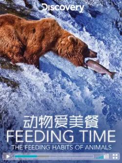 动物爱美餐在线观看