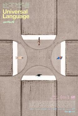 共同的语言
