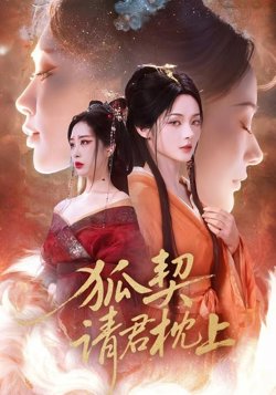 狐契:请君枕上