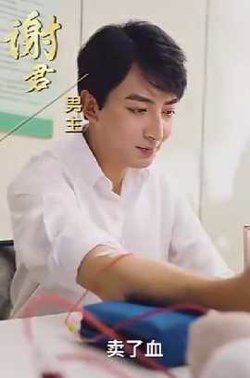 婚姻启示录在线观看