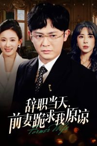 辞职当天前妻哭着求我原谅在线观看