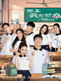 那年我的初恋高清播放
