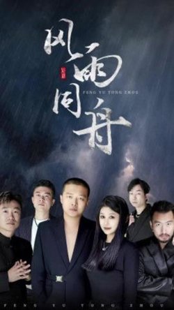 风雨同舟短剧版在线观看