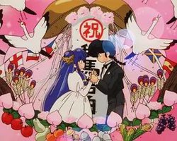 乱马1/2：OVA 珊璞暴变—反转宝珠之祸高清播放