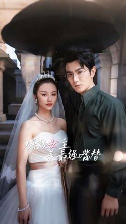 爆款女主是最强嘴替高清播放