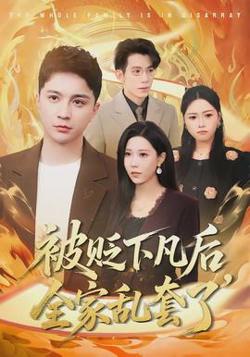 被贬下凡后全家乱套了高清播放