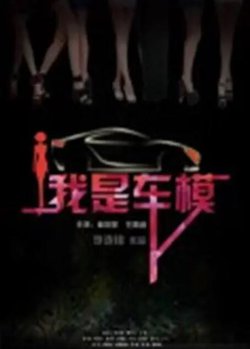 我是车模高清播放