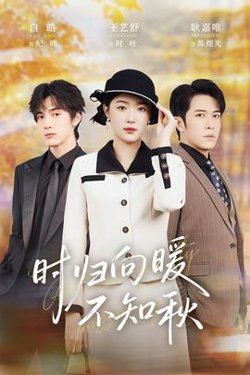 时归向暖不知秋高清播放