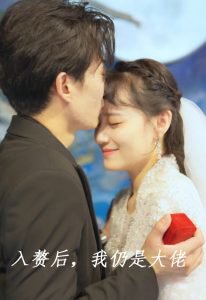 入赘后，我仍是大佬在线观看
