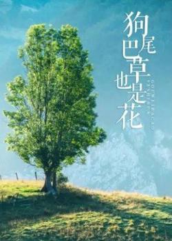 狗尾巴草也是花在线观看