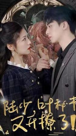 陆少叶秘书又开撩了高清播放