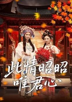 此情昭昭唯君心在线观看