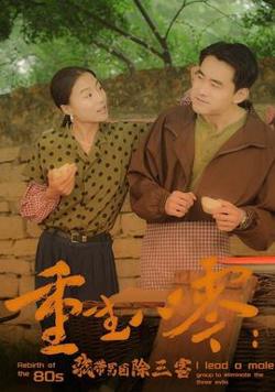 重生八零：我带男团除三害高清播放