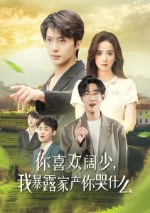 你喜欢阔少我暴露家产你哭什么高清播放
