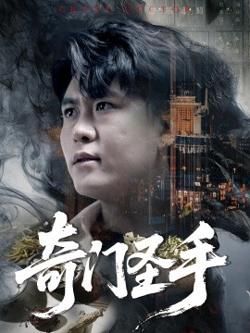 奇门圣手高清播放