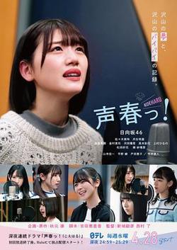 声音之春高清播放