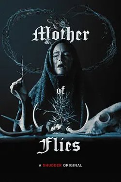 苍蝇之母[电影解说]高清播放
