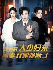 离婚后大少归来前妻双腿跪断了在线观看