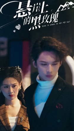 悬崖上的黑玫瑰在线观看