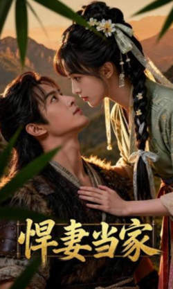 悍妻当家在线观看