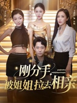 刚分手被姐姐拉去相亲高清播放